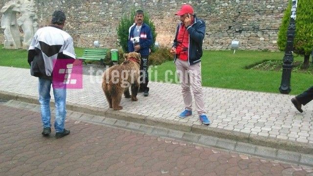 2016/01/arusha-n-euml-elbasan-arena-foto_hd.jpg