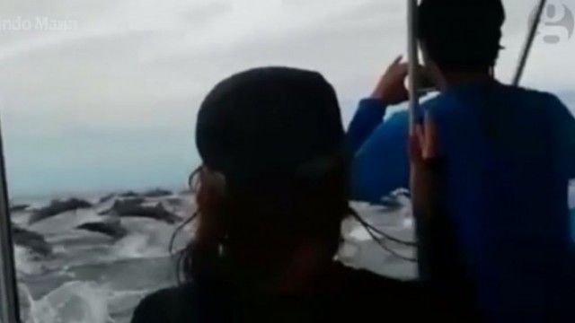 2016/01/ldquo-ushtria-rdquo-e-delfin-euml-ve-mahnit-turist-euml-t-video_hd.jpg