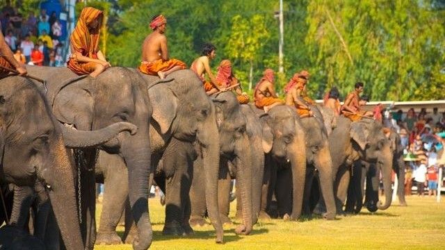 2016/01/parada-m-euml-e-madhe-e-elefant-euml-ve-n-euml-azi-foto_hd.jpg