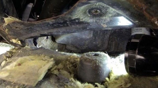2016/01/lepuri-i-frik-euml-suar-euml-sht-euml-fshehur-n-euml-motorin-e-vetur-euml-s-video_hd.jpg