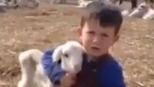 2016/01/vjersh-euml-n-ldquo-qengji-vog-euml-l-rdquo-bleoni-e-reciton-n-euml-m-euml-nyr-euml-t-euml-ve-ccedil-ant-euml-video_hd.jpg