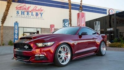 2016/01/Shelby1.jpg
