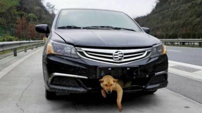 2016/01/zhang1.jpg