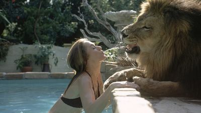 2016/01/roar.jpg