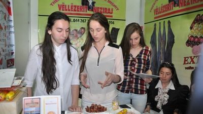 2016/01/panairi-i-firmave-ushtrimore.jpg