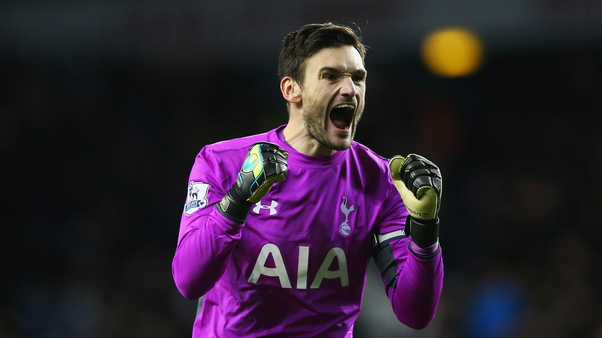 2016/03/Lloris.jpg