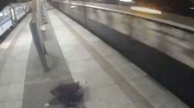 2016/03/Treni.jpg
