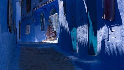 2016/03/blue11.jpg