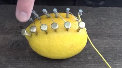 2016/03/limoni.jpg