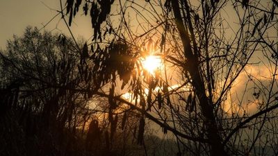2016/03/Moti-31-mars-2016.jpg