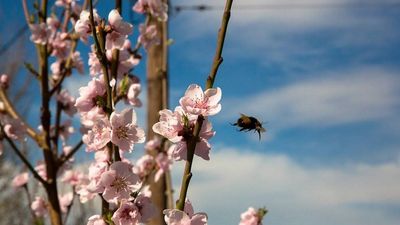 2016/04/Moti-4-prill-2016.jpg