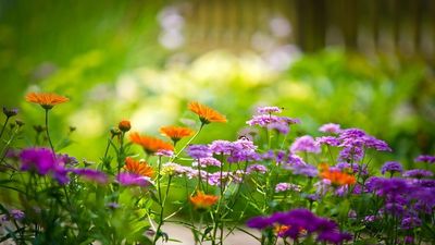 2016/04/Moti-5-prill-2016.jpg