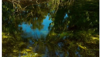 2016/04/Moti-13-prill-2016.jpg