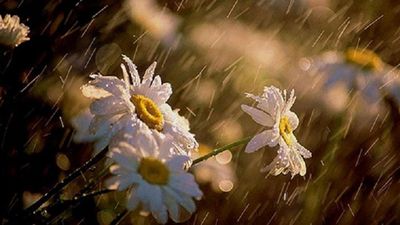 2016/04/Moti-14-prill-2016.jpg