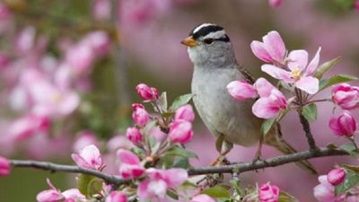 2016/04/Moti-15-prill-2016.jpg