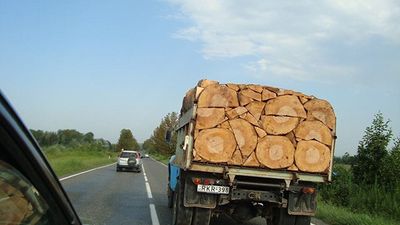 2016/04/1-116.jpg