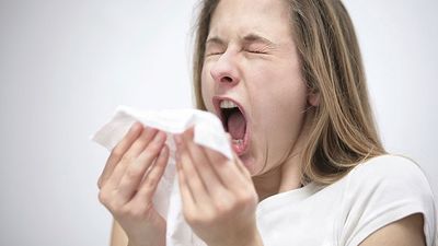 2016/05/Someone_Sneezing.jpg