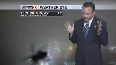 2016/05/TV-weatherman-startled-by-giant-spider-image.jpg