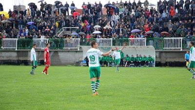 2016/05/feras-1.jpg