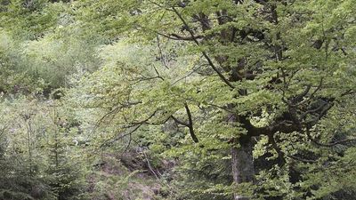 2016/05/11111-2.jpg