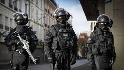 2016/06/Forcat-speciale-franceze.jpg