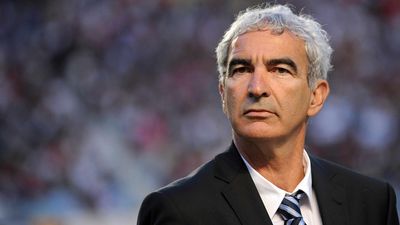 2016/06/raymond-domenech-karim-benzema-france-espagne.jpg