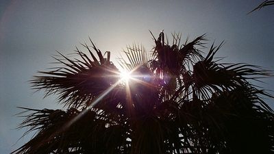 2016/06/Moti-20-qershor-2016.jpg