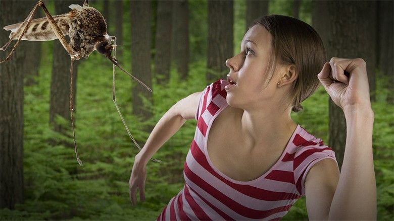 2016/07/dnewsplus-0359-why-do-mosquitoes-bite-some-people-and-not-others-1462832996-large.jpg