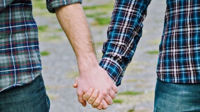 2016/09/original_4620877824-Gay-couple-holding-hands-Parliament-to-approve-gay-marriage.jpg