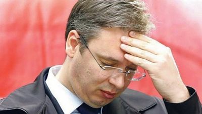 2016/10/vucici-pesimist.jpg