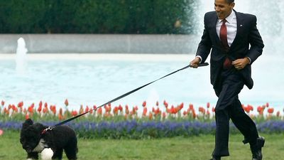 2016/10/obama-running-dog.jpg