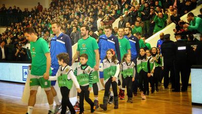 2016/11/basket.jpg