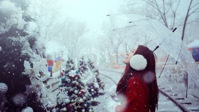 2016/12/winter_snow_asian_christmas_christmas_tree_umbrella.jpg