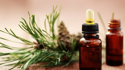 2017/01/Hot-Oil-Treatment-with-Rosemary-Essential-Oil1.jpg