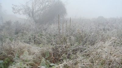 2017/01/Moti-2-janar-2017.jpg