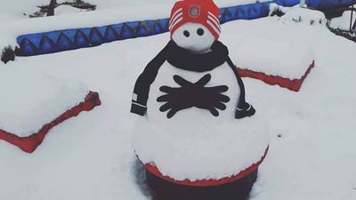 2017/01/bayern-12.jpg