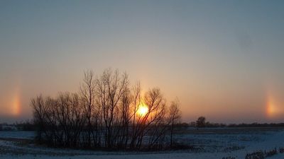2017/02/Moti-3-shkurt-2017-1.jpg
