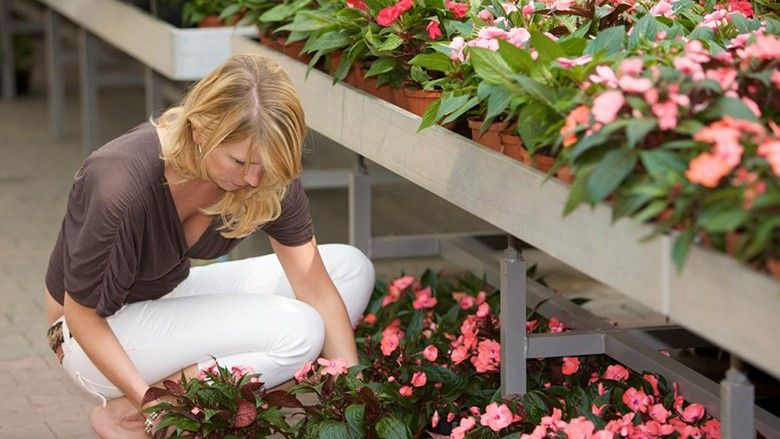 2017/03/iStock-6079797_woman-choosing-plants-at-nursery_s4x3.jpg.rend_.hgtvcom.1280.jpg