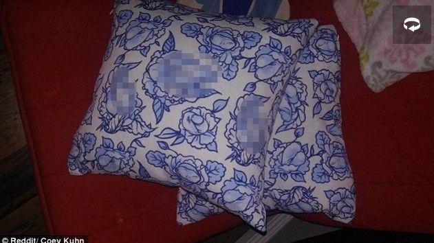 2017/04/Duken-si-jastëk-të-zakonshëm-por-nese-shikohen-nga-afer-verehen-detajet-bizare-foto.jpg