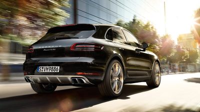 2017/05/macan.jpg