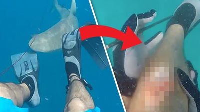 2017/06/SHARK-ATTACK-VIDEO-620463-e1496910119174.jpg