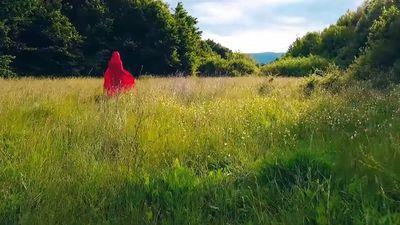 2017/06/perralla-2.jpg