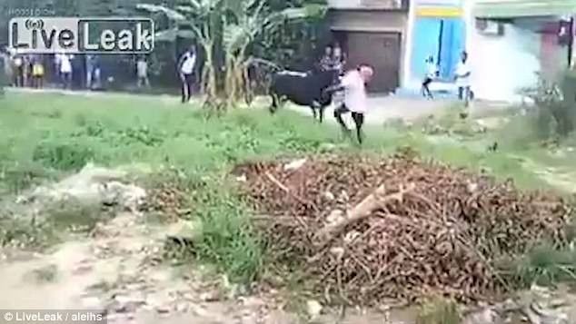 2017/07/Ngacmoi-demin-goditet-keq-dhe-hidhet-ne-ajer-foto.jpg