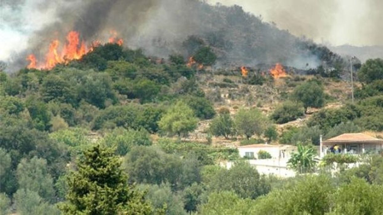 Zjarr në terren të paarritshëm në Vallandovë, autoritetet dyshojnë për dorë njeriu Zjarr në terren të paarritshëm në Vallandovë, autoritetet dyshojnë për dorë njeriu