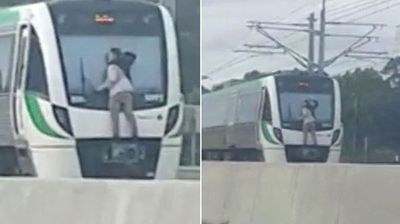 2017/09/MAIN-Man-riding-an-Australian-train-clinging-on-to-its-windscreen-wiper.jpg