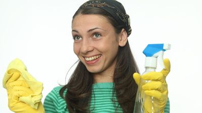2017/11/cleaningWoman.jpg