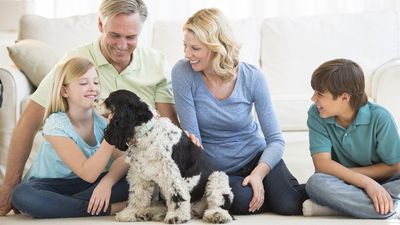 2016/01/slide03-family-dog-1440x605.jpg