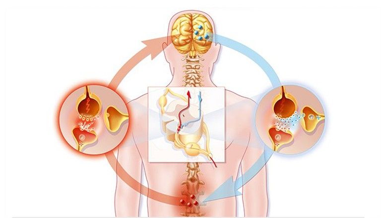 2018/09/Neuropathy-Understanding-and-Treating-Neuropathic-Pain-ALT-RM-722x406.jpg