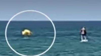 2019/07/0_Video-Captures-Dramatic-Rescue-As-Toddler-Floated-Away-From-Shore-In-Inflatable-Duck-In-Michigan-Cit.jpg