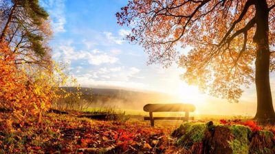 2019/10/sunny-autumn-day-fp.jpg